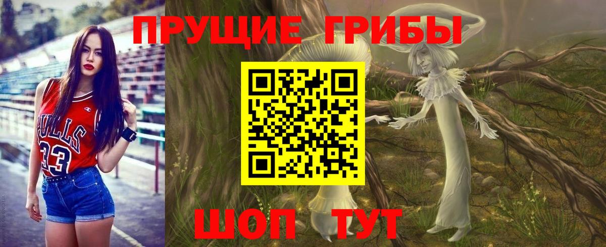 Галлюциногенные грибы Psilocybe Соликамск